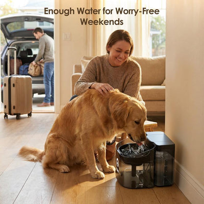 AquaPaw™ 11L Large Dog Water Fountain – No-Spill & Ultra-Quiet